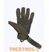 �������� ����������� | ���� Olive